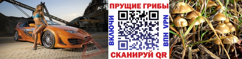 Псилоцибиновые грибы мухоморы  Сельцо 