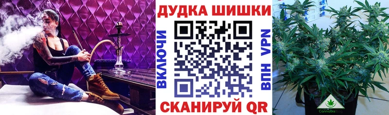 Бошки марихуана конопля Сельцо